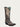 A4832 - WOMEN'S TAUPE OVERLAY BULL SKULL EMBROIDERY AND STUDS SNIP TOE COWBOY BOOT